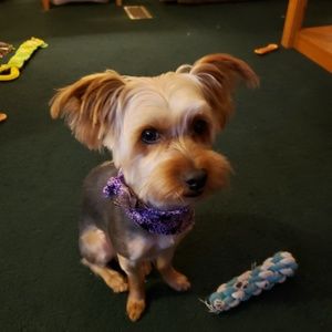 Meet your Posher, Marie